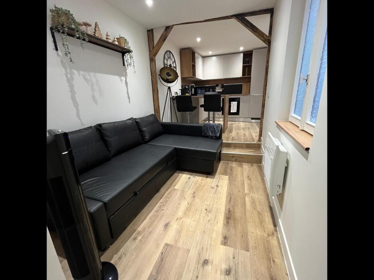 Tonnelet Rouge - Appt Au Coeur De La Ville Strasbourg Ngoại thất bức ảnh